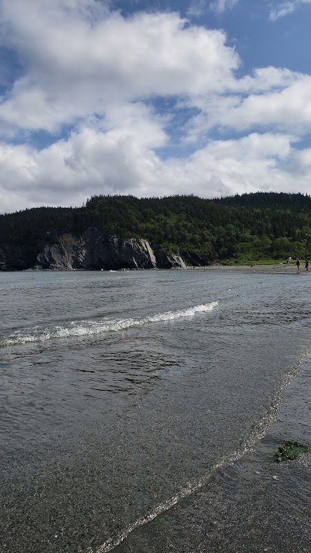 Discovering the Tranquil Beauty of Salmon Cove Beach - Salmon Cove Beach