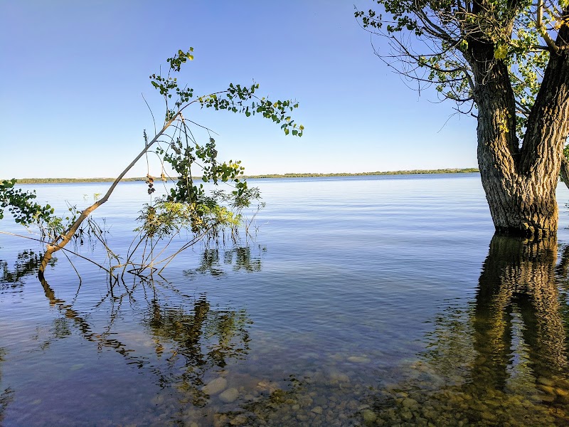 Wildlife Oasis at Deer Flat National Wildlife Refuge - Deer Flat National Wildlife Refuge
