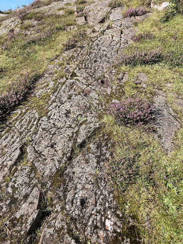 Ancient Carvings of Ormaig - Ormaig Cup and Ring marked stones
