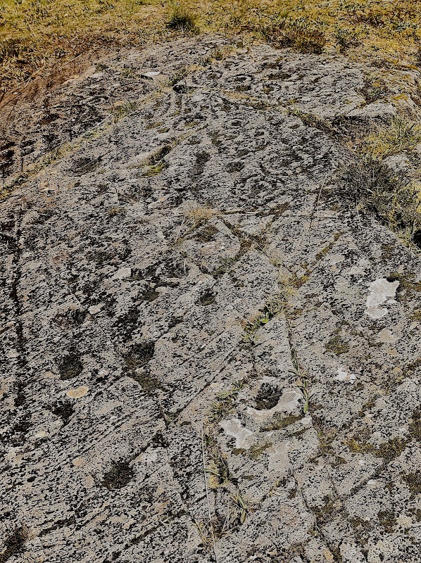 Ancient Carvings of Ormaig - Ormaig Cup and Ring marked stones