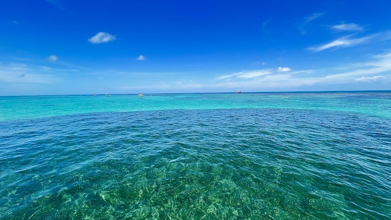 Explore the Underwater Wonders of John Pennekamp Coral Reef State Park outdoor detail