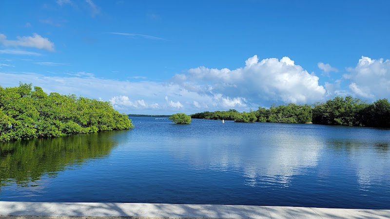 Explore the Underwater Wonders of John Pennekamp Coral Reef State Park - John Pennekamp Coral Reef State Park