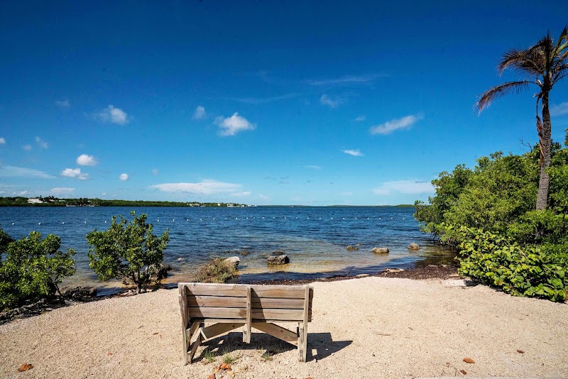 Explore the Underwater Wonders of John Pennekamp Coral Reef State Park - John Pennekamp Coral Reef State Park