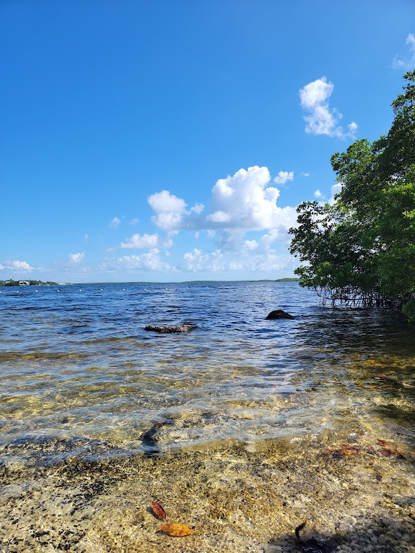 Explore the Underwater Wonders of John Pennekamp Coral Reef State Park surrounding landscape