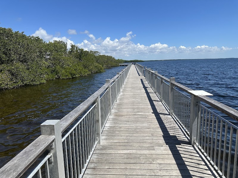 Aquatic Adventures at Biscayne National Park outdoor detail