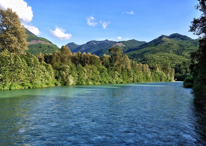 The Natural Charm of Skagit River - Skagit River