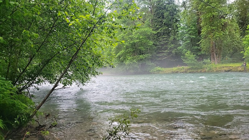The Natural Charm of Skagit River - Skagit River