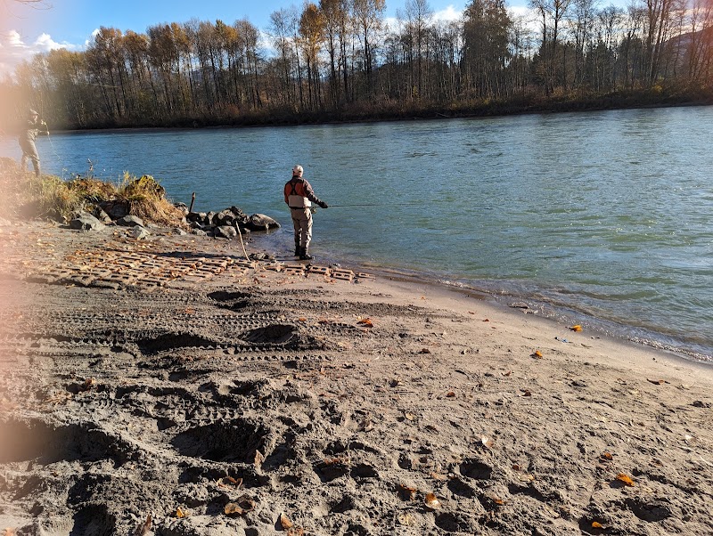 The Natural Charm of Skagit River - Skagit River