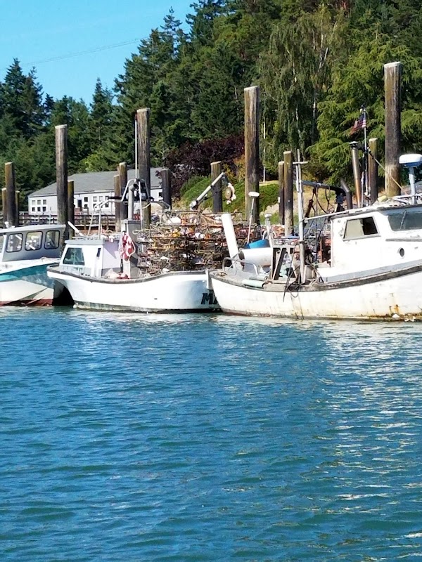 Scenic Vistas and Tranquil Waters: La Conner, WA - La Conner