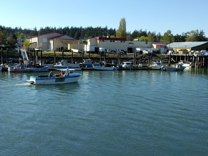 Scenic Vistas and Tranquil Waters: La Conner, WA - La Conner