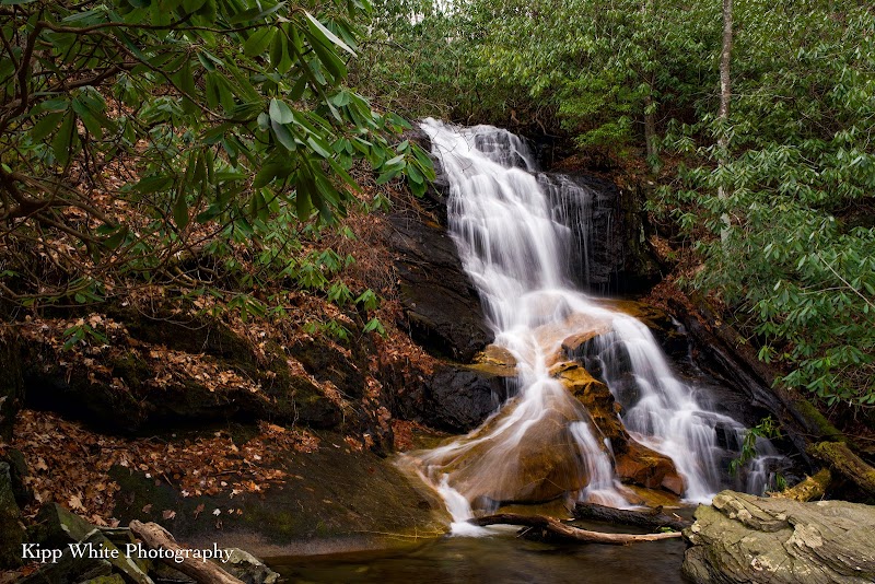 Waterfall Wonders: Log Hollow & Discovery Falls Trailhead - Log Hollow & Discovery Falls Trailhead