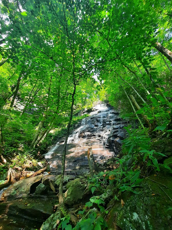 Waterfall Wonders: Log Hollow & Discovery Falls Trailhead - Log Hollow & Discovery Falls Trailhead