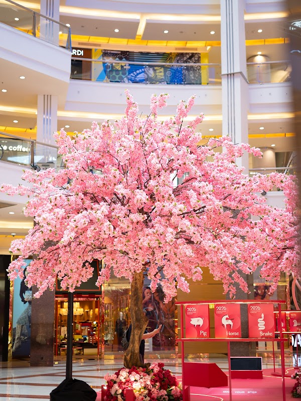 Modern Elegance at Pacific Place Mall - Pacific Place Mall