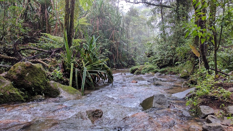 Discover the Lush Wilderness of Mount Salak - Mount Salak