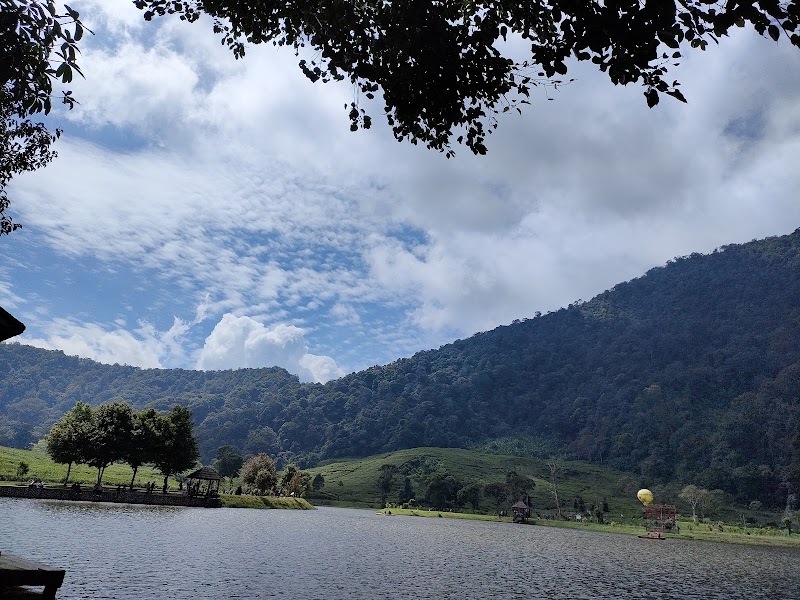 Discover the Greens of Puncak Pass, Bogor - Puncak Pass Bogor