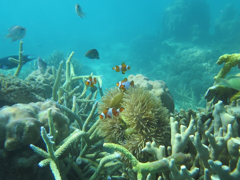Tropical Escape to Karimun Jawa - Karimun Jawa