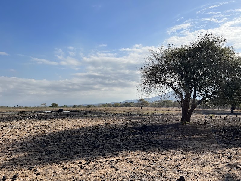 Natural Wonders at Baluran National Park - Visitor Center Baluran National Park