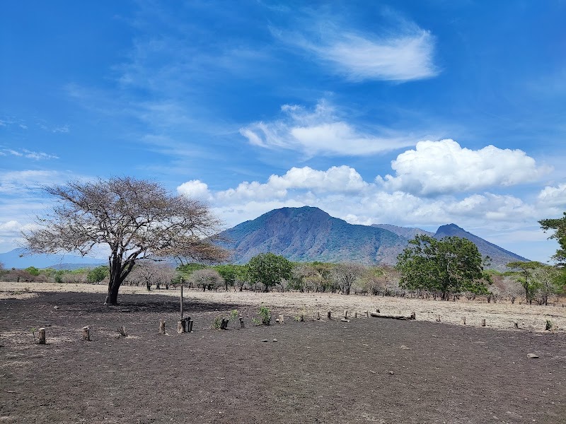 Natural Wonders at Baluran National Park - Visitor Center Baluran National Park