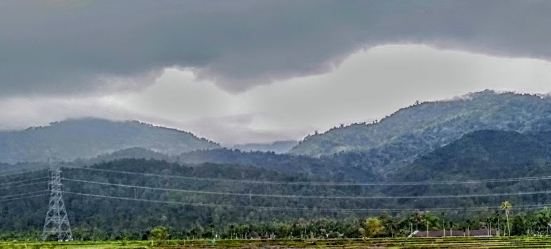 Mount Leuser: A Natural Wonderland in Aceh - Mount Leuser