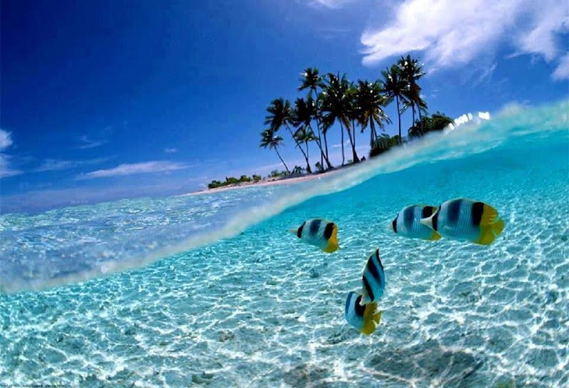 Diving into Bunaken National Marine Park - Bunaken National Marine Park