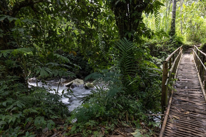 Discover the Serenity of Leke Leke Waterfall - Leke Leke Waterfall