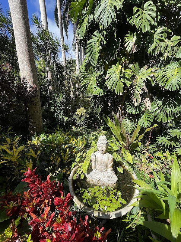 Garden Paradise: Hunte's Gardens in Saint Joseph, Barbados - Hunte's Gardens