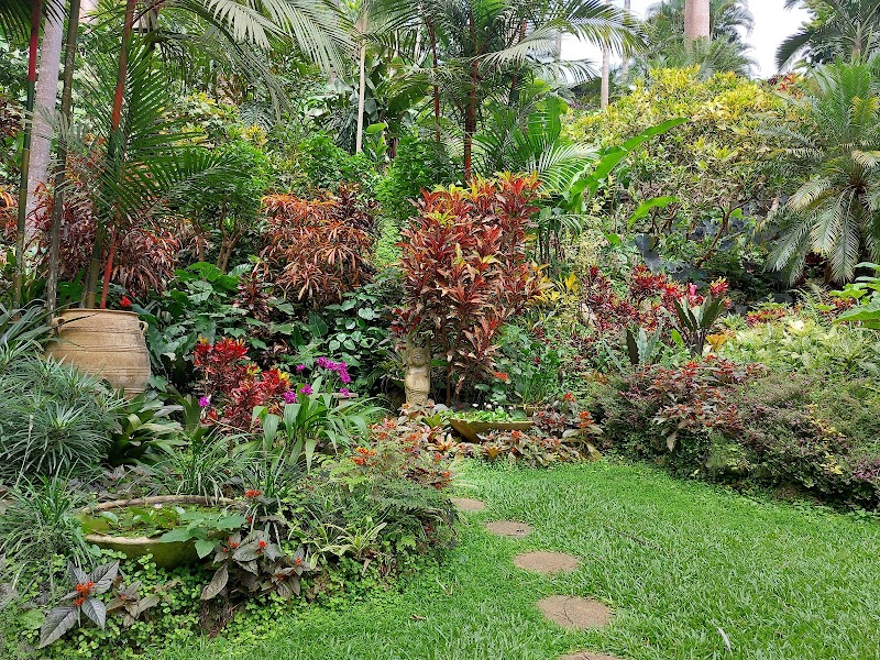 Garden Paradise: Hunte's Gardens in Saint Joseph, Barbados - Hunte's Gardens