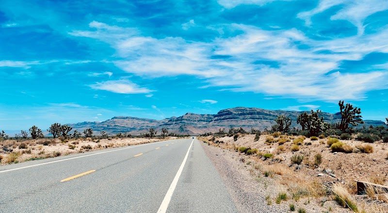 Nature's Majesty: The Mojave Desert - Mojave Desert