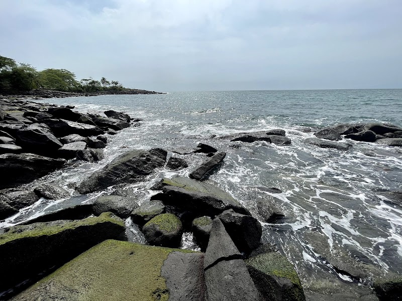 Coastal Wonders at Banana Islands - Banana Islands