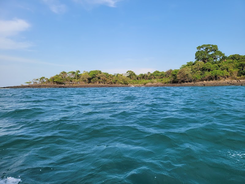 Coastal Wonders at Banana Islands - Banana Islands