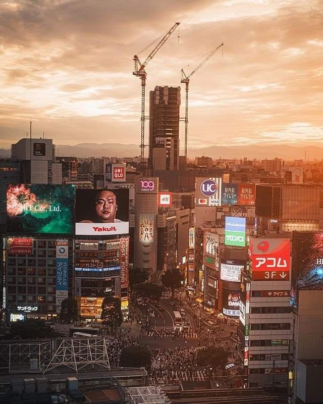 Dynamic Nights in Tokyo - Tokyo