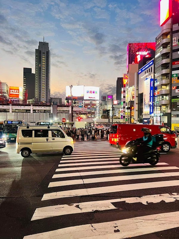 Dynamic Nights in Tokyo - Tokyo