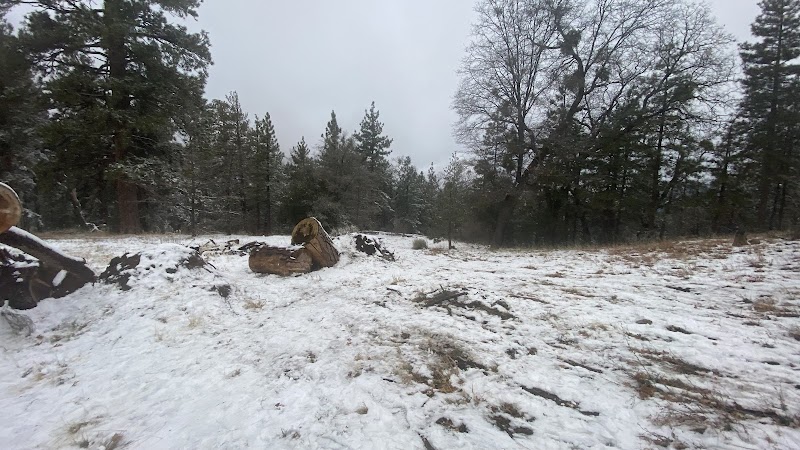 Nature's Retreat: Whispering Pines Trail 1E33 surrounding landscape