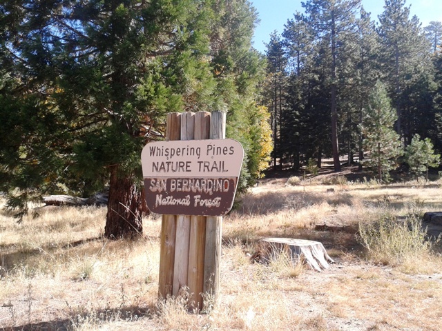 Nature's Retreat: Whispering Pines Trail 1E33 - Whispering Pines Trail 1E33