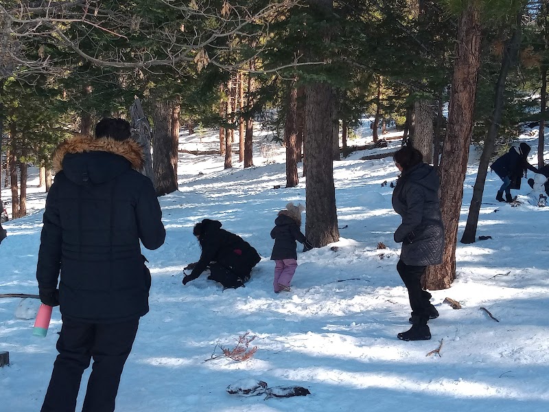 Nature's Retreat: Whispering Pines Trail 1E33 - Whispering Pines Trail 1E33