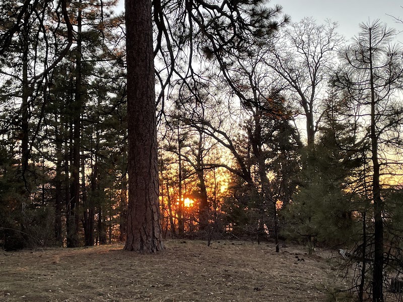 Nature's Retreat: Whispering Pines Trail 1E33 - Whispering Pines Trail 1E33