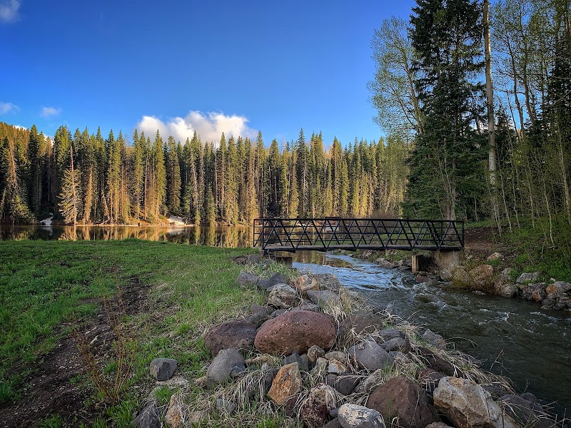 Nature's Oasis: Woods Lake, Colorado outdoor detail