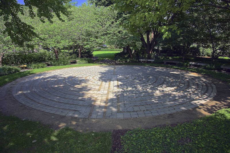 Wondrous Blooms at Chadwick Arboretum surrounding landscape
