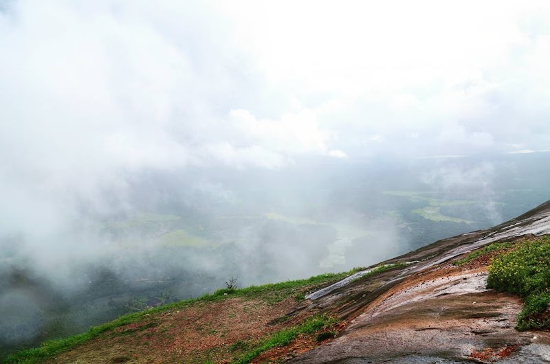 Discover the Wonders of Kangari Hills Forest Reserve - Kangari Hills Forest Reserve