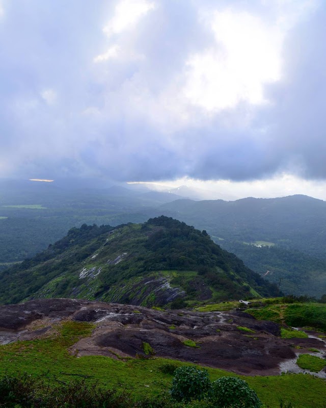 Discover the Wonders of Kangari Hills Forest Reserve - Kangari Hills Forest Reserve