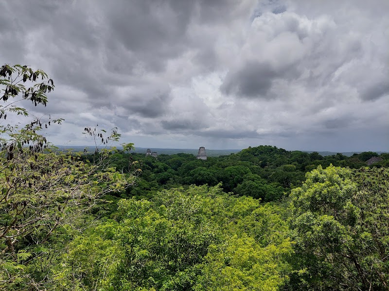 Ancient Wonders of Tikal National Park - Tikal National Park