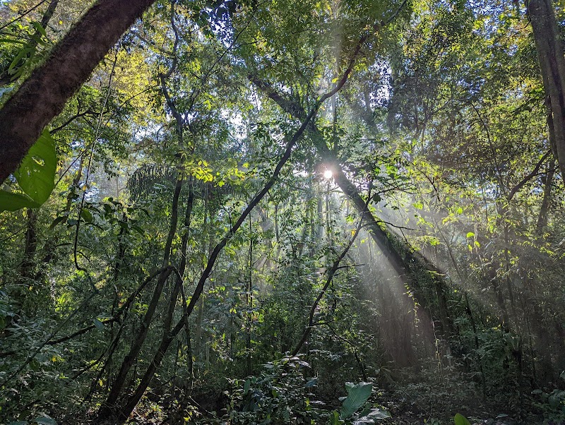 Nature's Hidden Gem: Corcovado National Park - Corcovado National Park