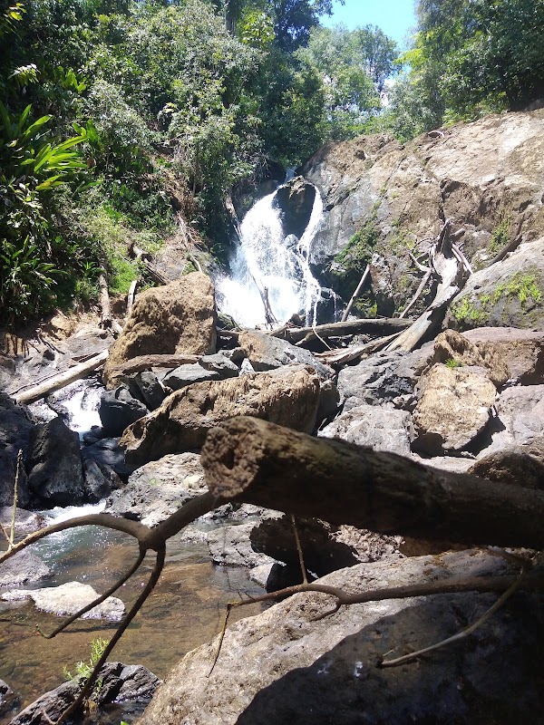 Nature's Hidden Gem: Corcovado National Park - Corcovado National Park