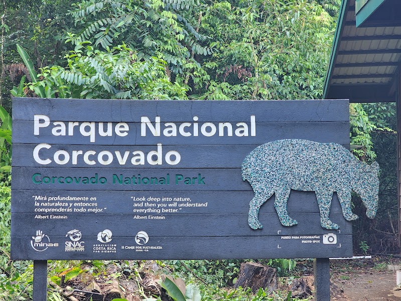Nature's Hidden Gem: Corcovado National Park - Corcovado National Park