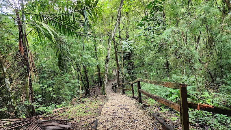 Natural Wonders of Panama City: Metropolitan Natural Park - Metropolitan Natural Park