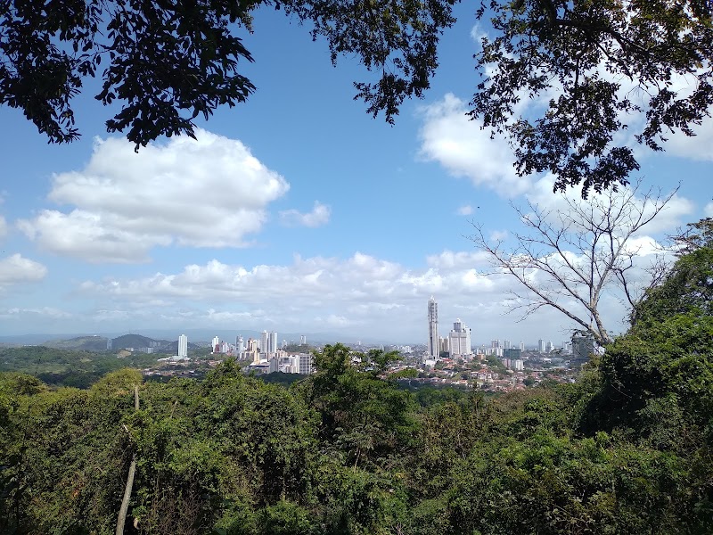 Natural Wonders of Panama City: Metropolitan Natural Park - Metropolitan Natural Park