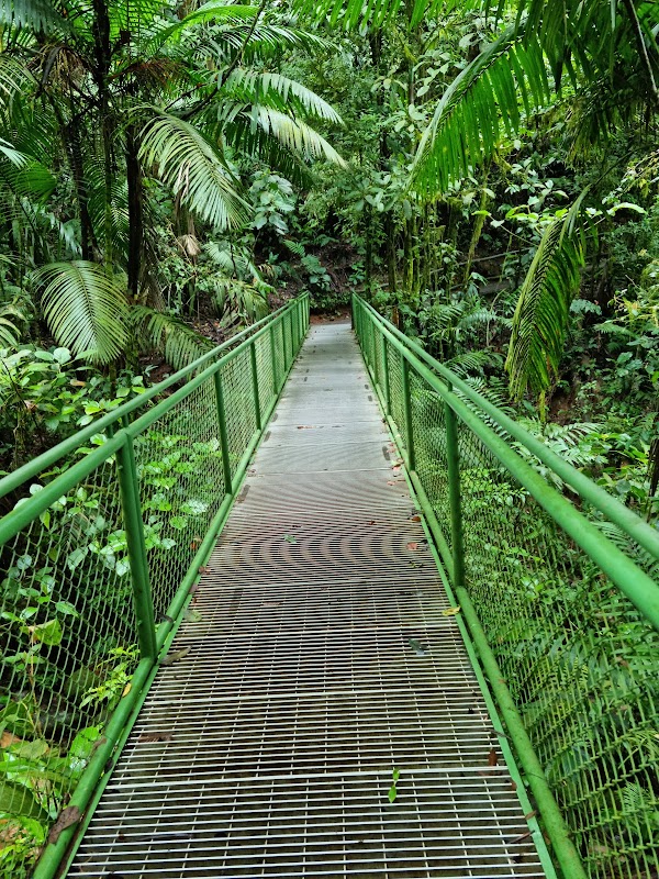 Aerial Adventures: Puentes Colgantes Arenal - Puentes Colgantes Arenal, Mistico Park