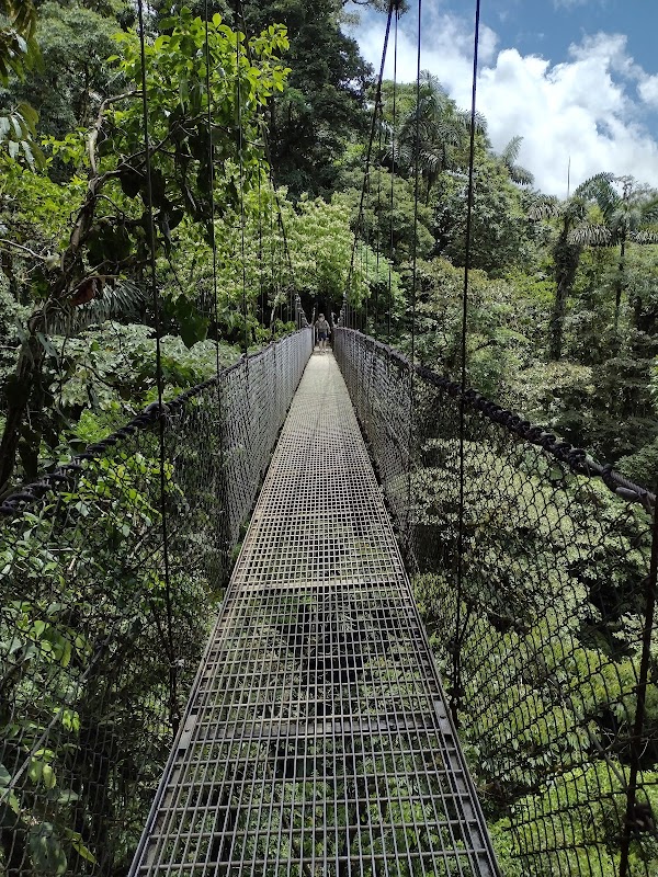 Aerial Adventures: Puentes Colgantes Arenal - Puentes Colgantes Arenal, Mistico Park