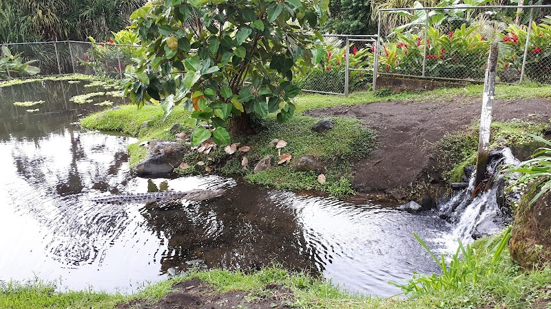 Tropical Wonder: La Fortuna's Natural Beauty - La Fortuna
