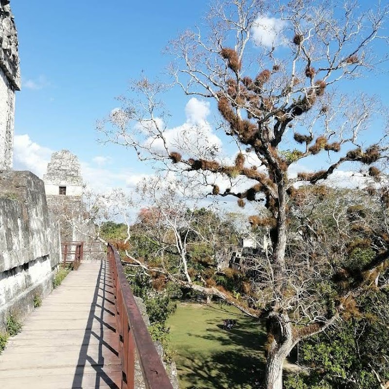 Ancient Wonders of Tikal - Tikal